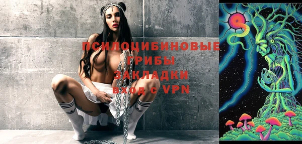 мдпв Белокуриха