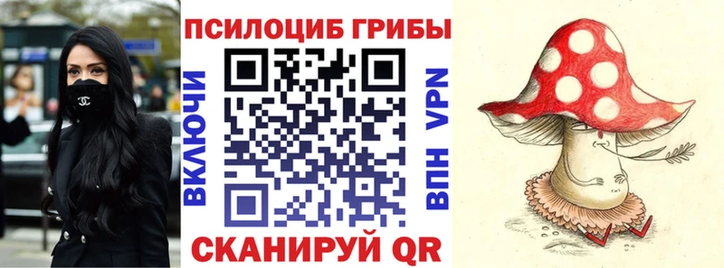 Псилоцибиновые грибы Magic Shrooms блэк спрут маркетплейс Власиха